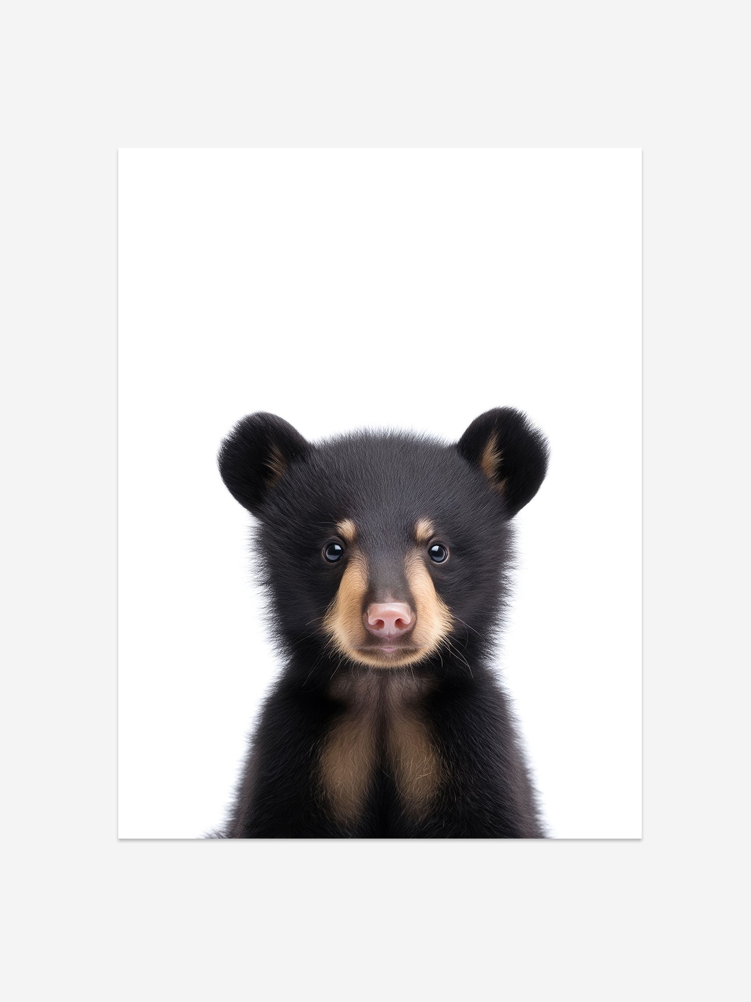 Baby Black Bear Photo Print – Baby Animals Collection – Cute Kids Wall Art