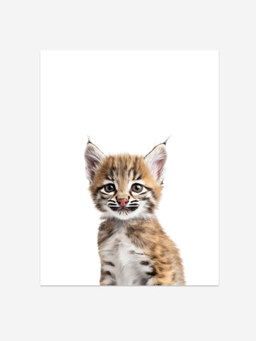 Baby Bobcat Photo Print – Baby Animals Collection – Cute Kids Wall Art