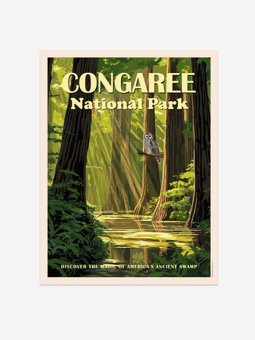 Congaree National Park Poster - Exclusive Wall Art Print