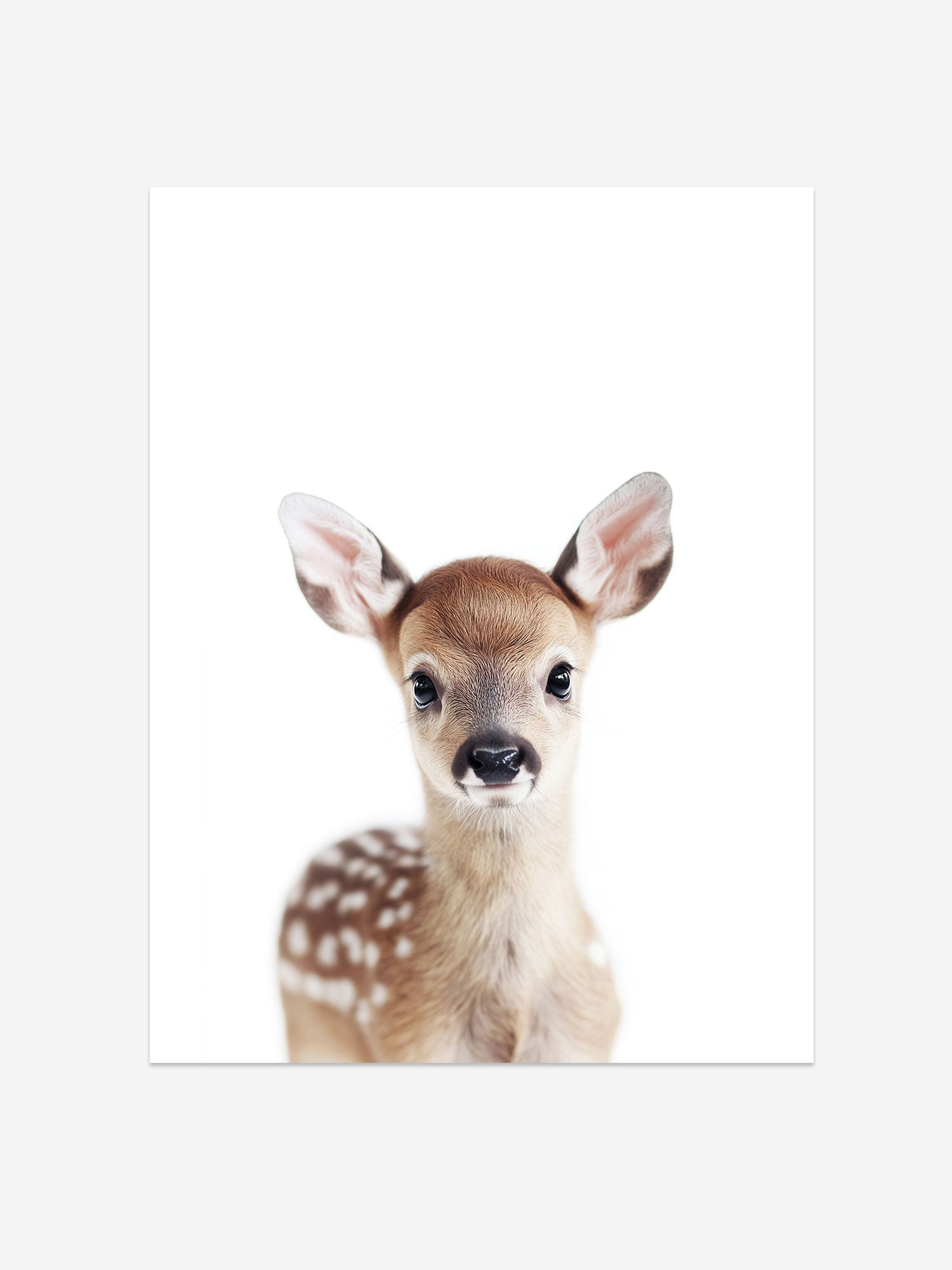 Baby Deer Photo Print – Baby Animals Collection – Cute Kids Wall Art