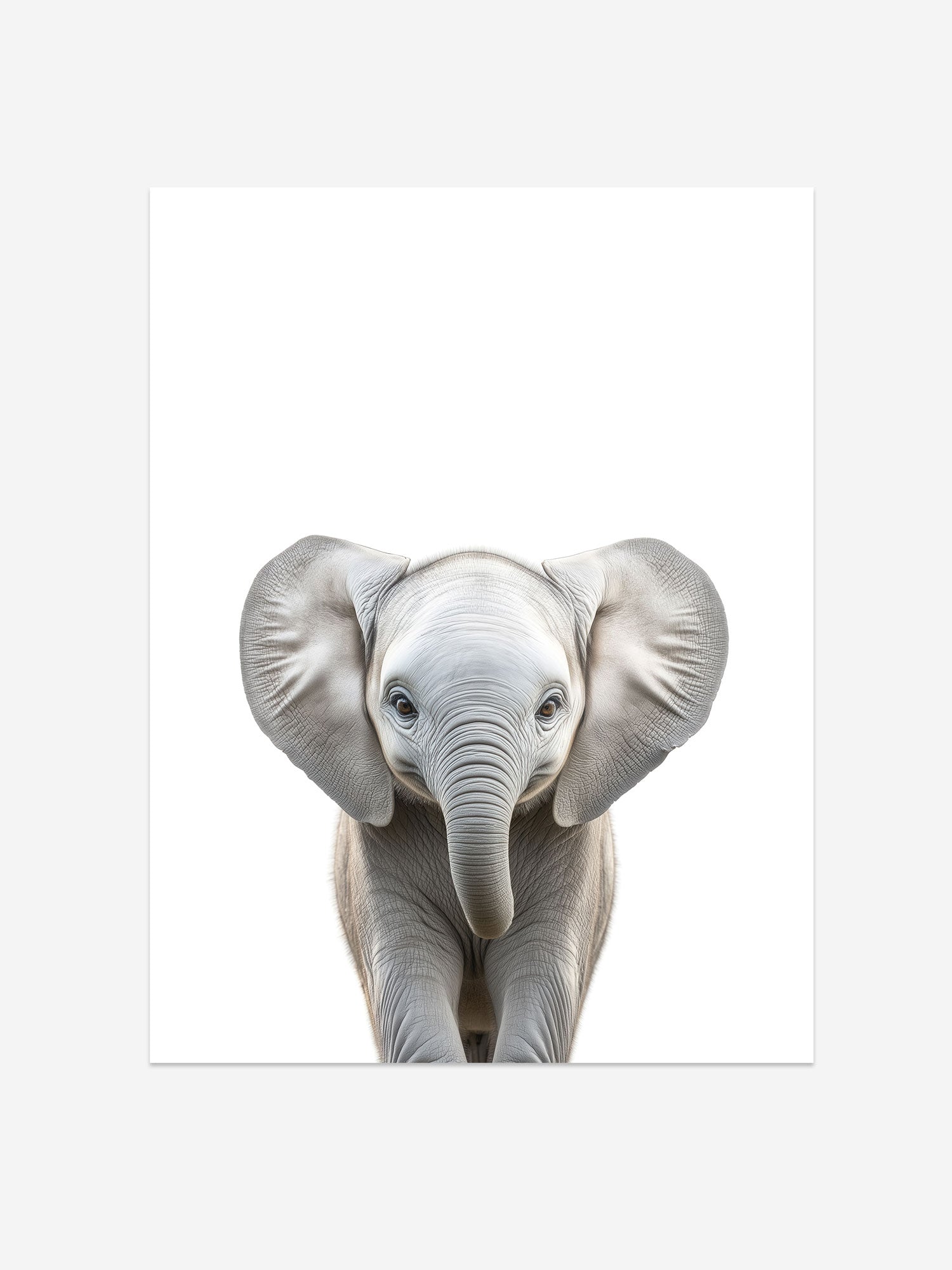 Baby Elephant Photo Print – Baby Animals Collection – Cute Kids Wall Art