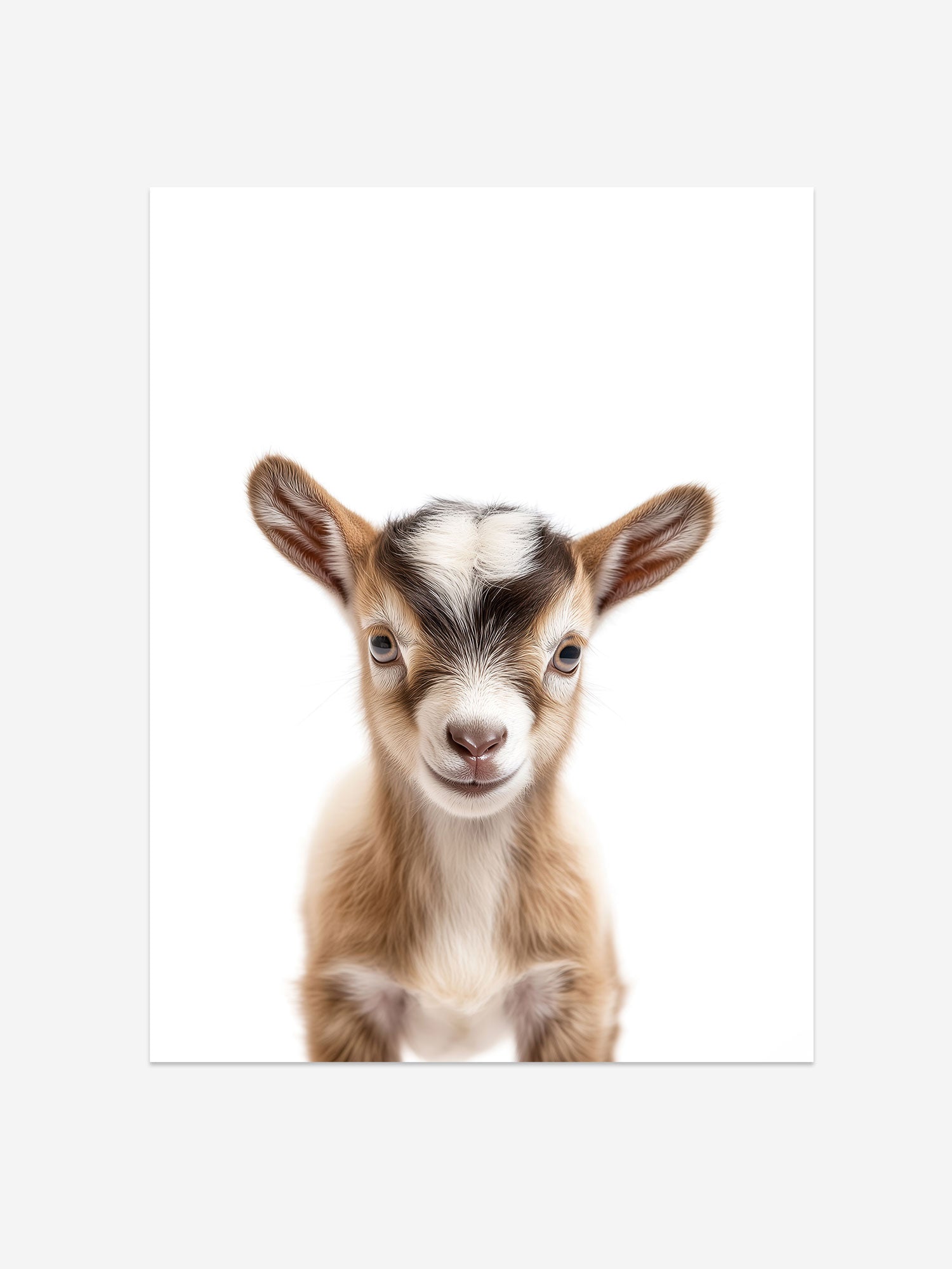 Baby Goat Photo Print – Baby Animals Collection – Cute Kids Wall Art