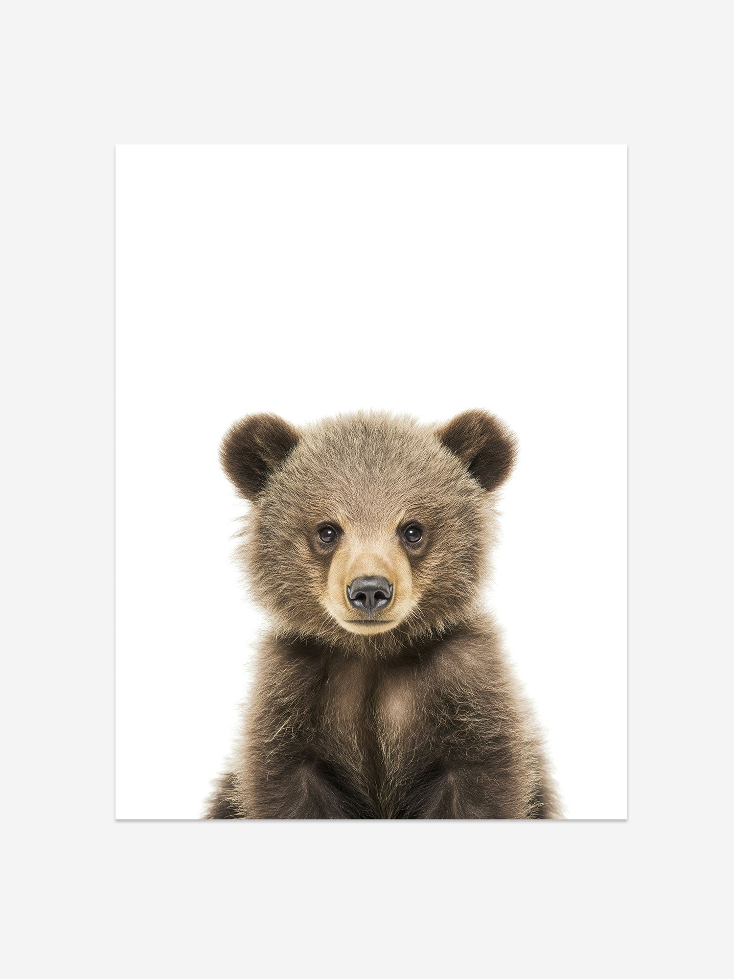 Baby Grizzly Bear Photo Print – Baby Animals Collection – Cute Kids Wall Art