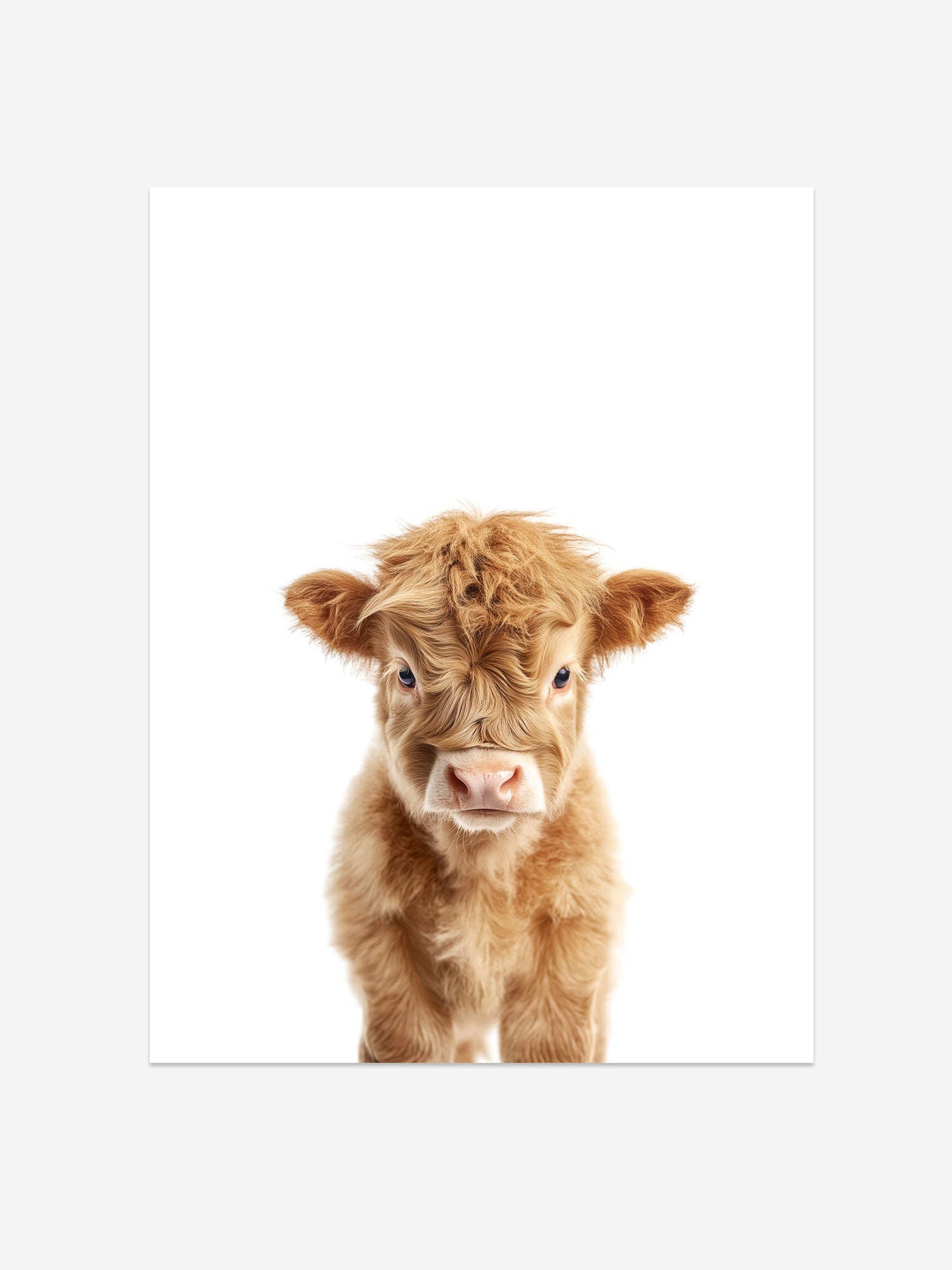 Baby Highland Cow Nursery Print – Cozy Nursery Decor