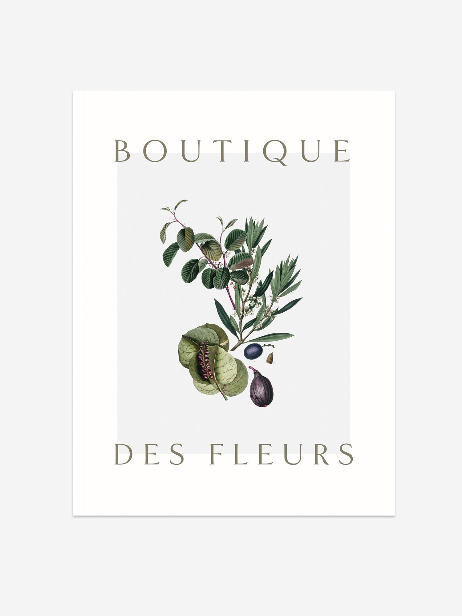 "Boutique des Fleurs" – Elegant Botanical Art Print