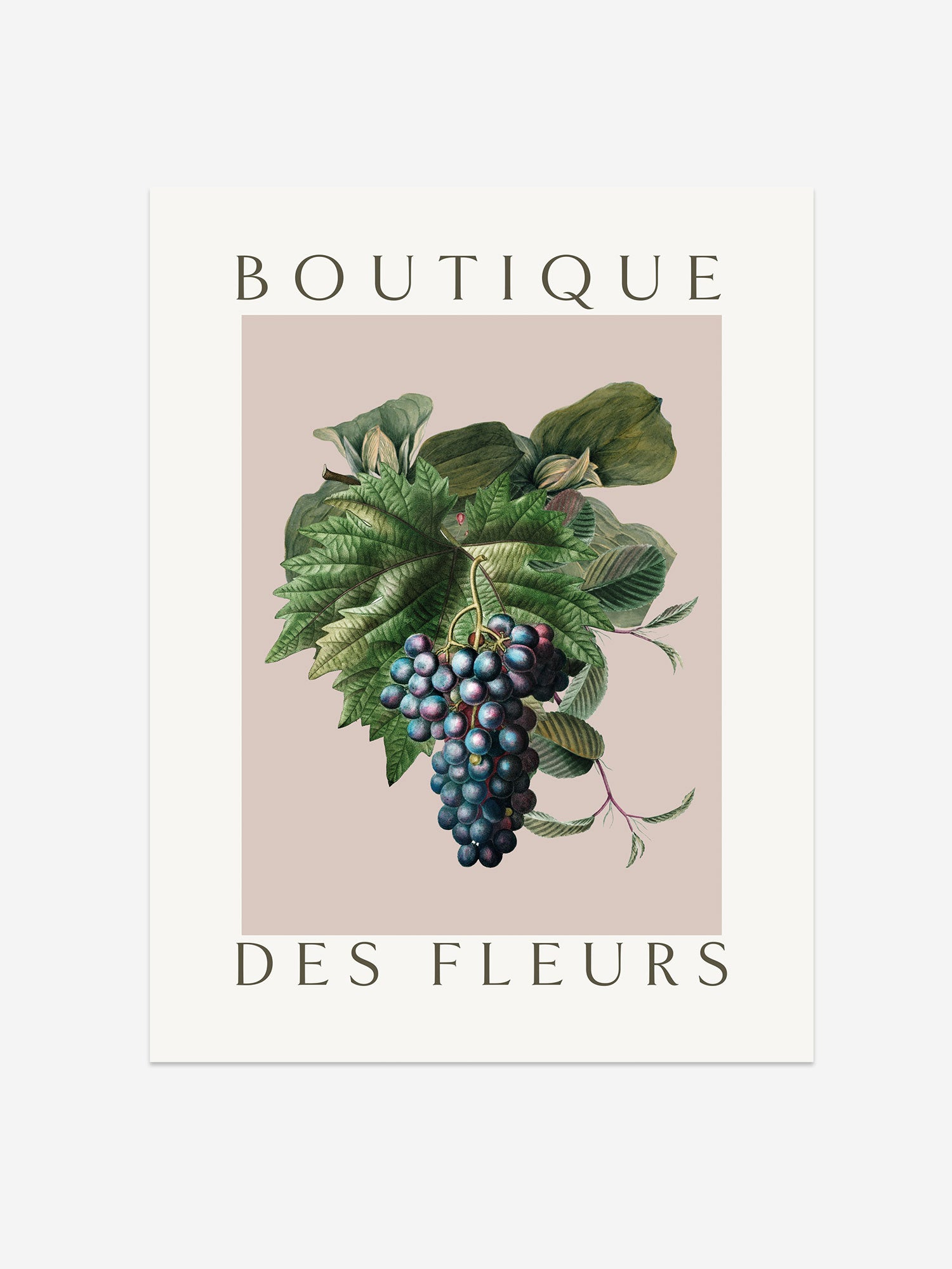 "Boutique des Fleurs" – Vintage Botanical Grape Print