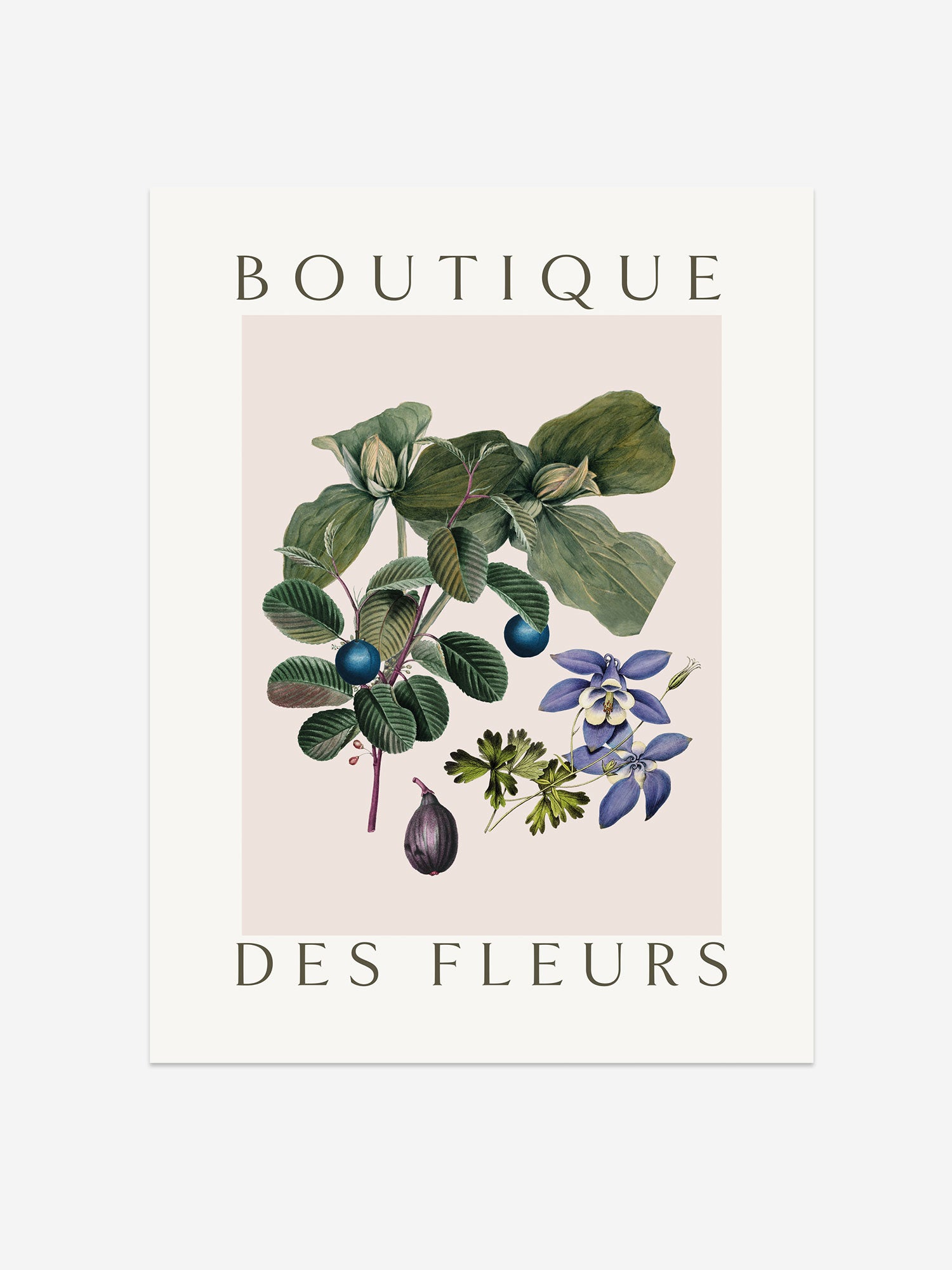 "Boutique des Fleurs" – Botanical Blue Passionflower & Fig Print