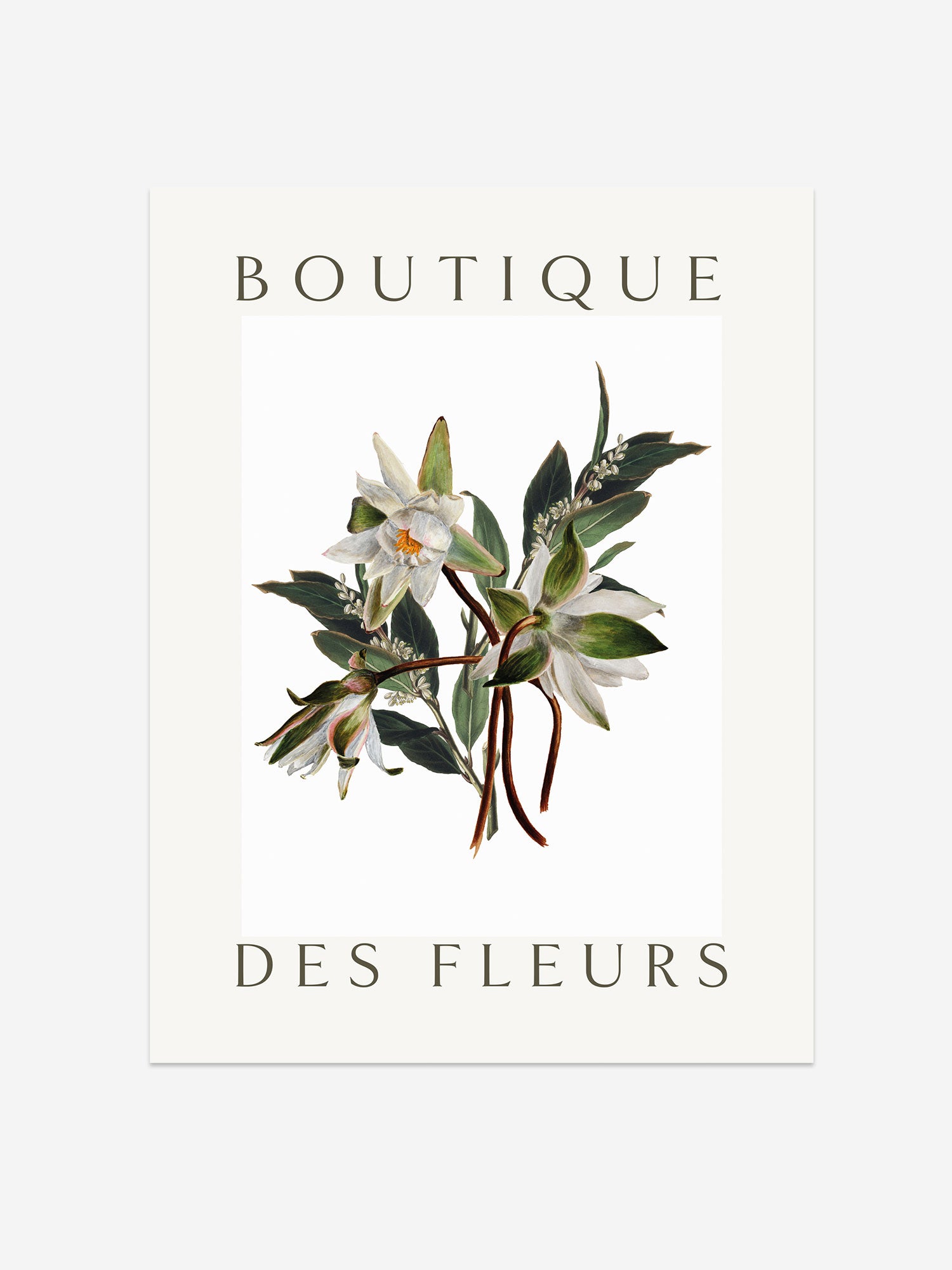 "Boutique des Fleurs" – Classic Botanical White Lily Print