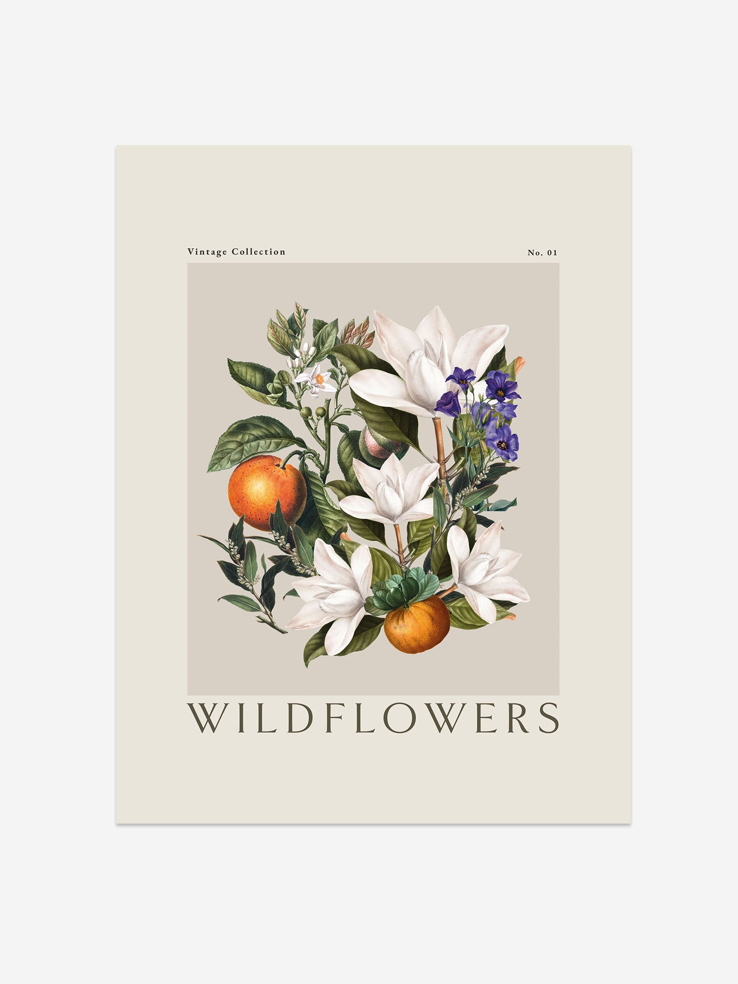 Wildflower Bloom – Vintage Botanical Art Print