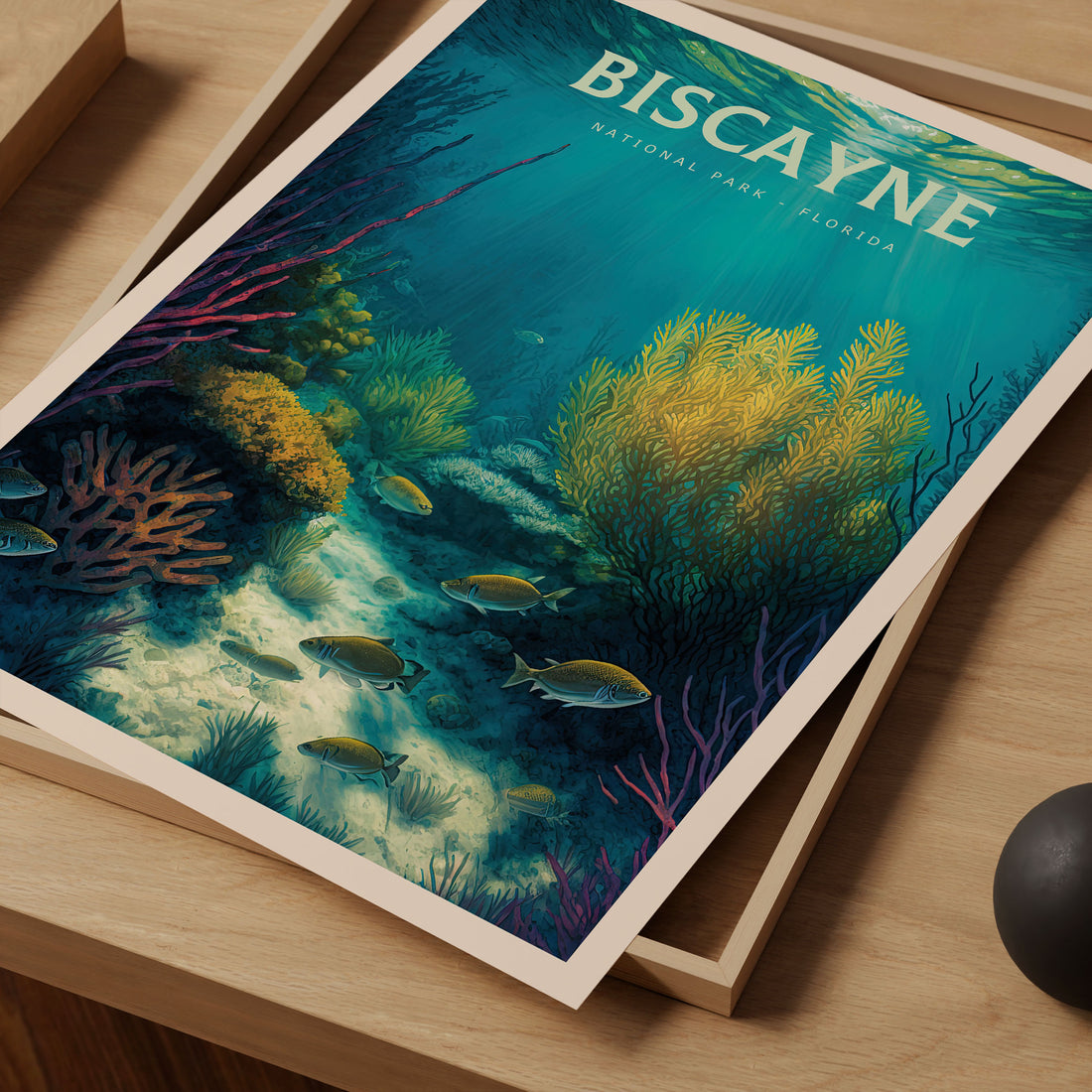 Biscayne National Park, Florida Travel Poster