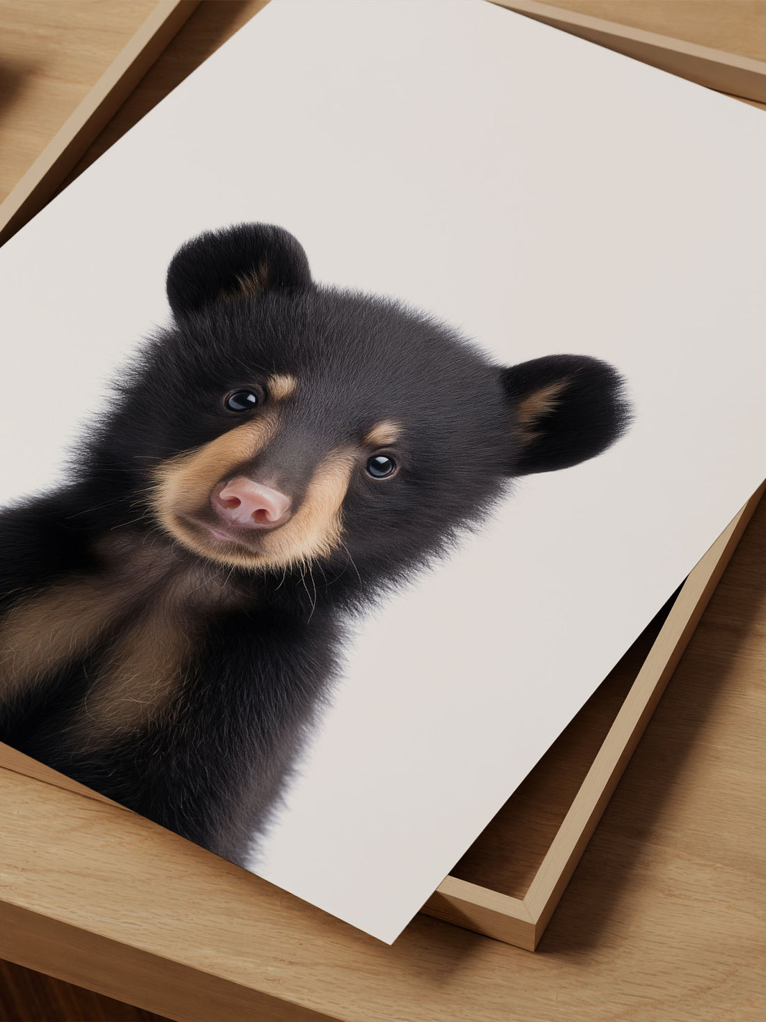 Baby Black Bear Photo Print – Baby Animals Collection – Cute Kids Wall Art