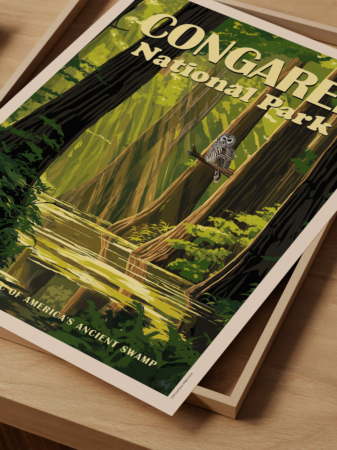 Congaree National Park Poster - Exclusive Wall Art Print