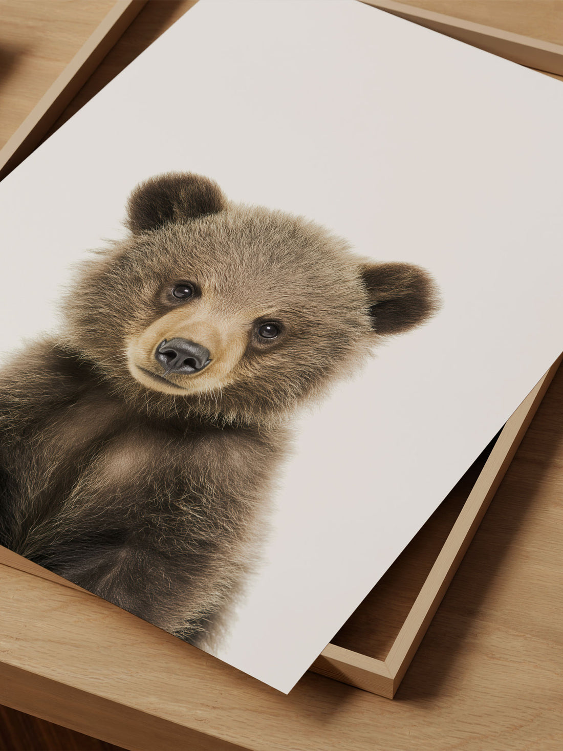 Baby Grizzly Bear Photo Print – Baby Animals Collection – Cute Kids Wall Art