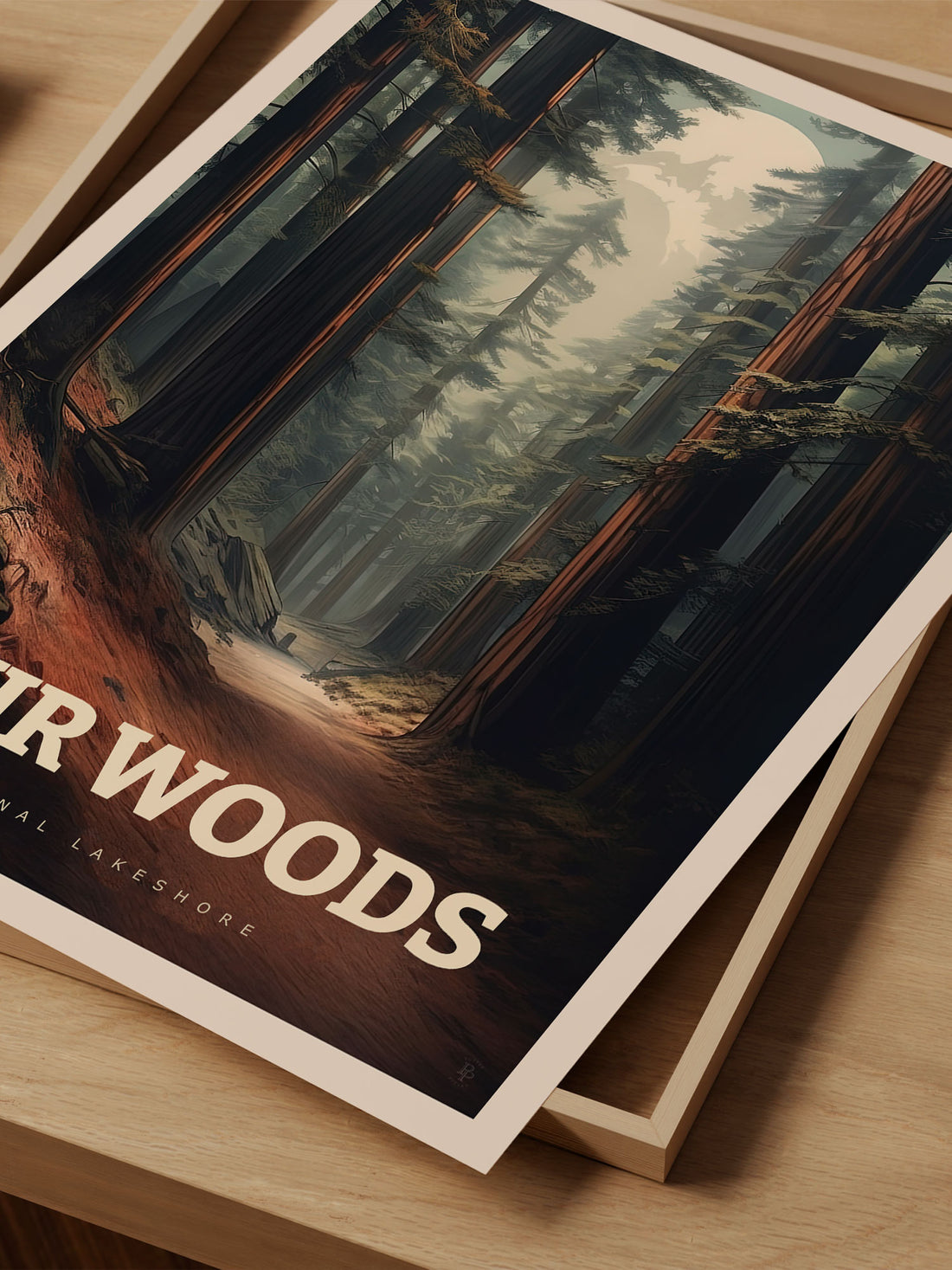 Muir Woods, California Travel Poster