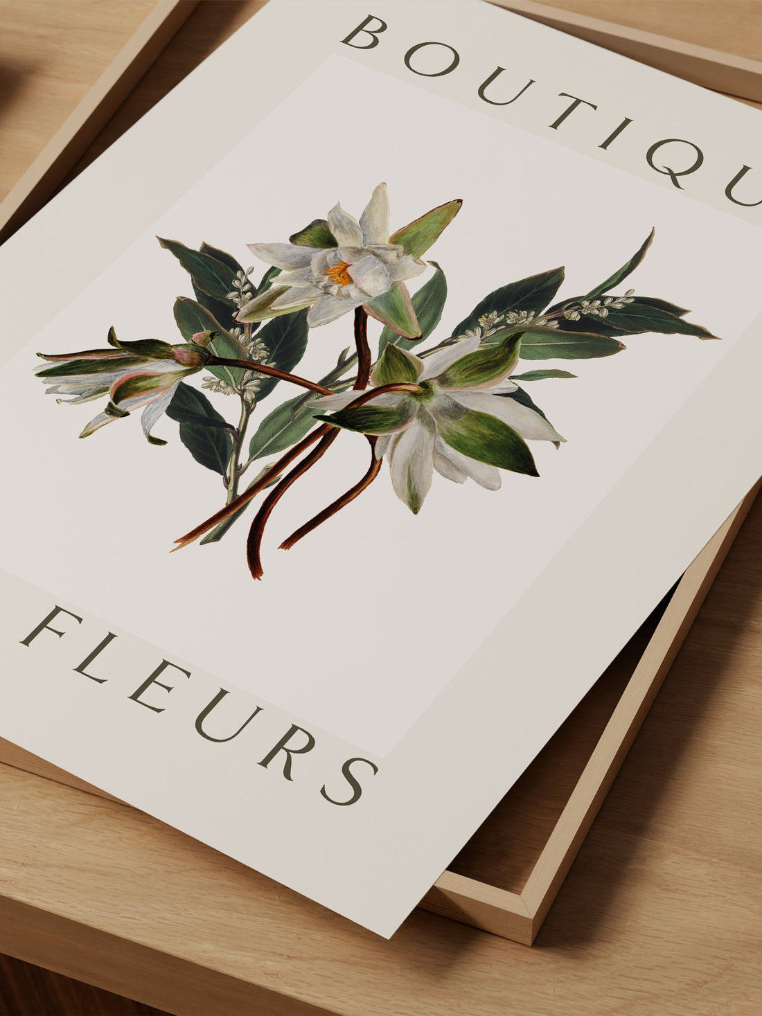 "Boutique des Fleurs" – Classic Botanical White Lily Print